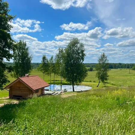 Restu Forest Saunahouse Chalet